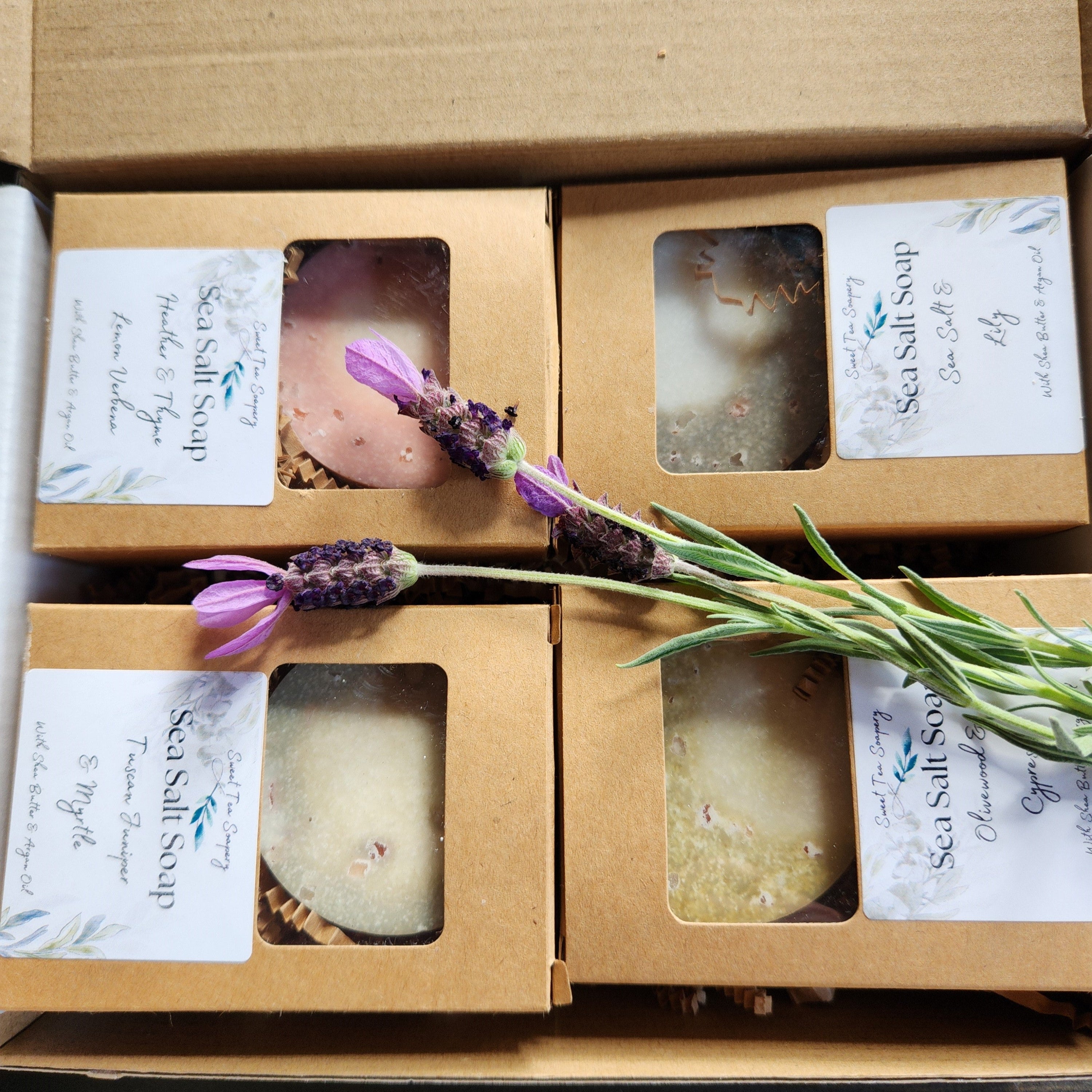Discovery Soap Boxes