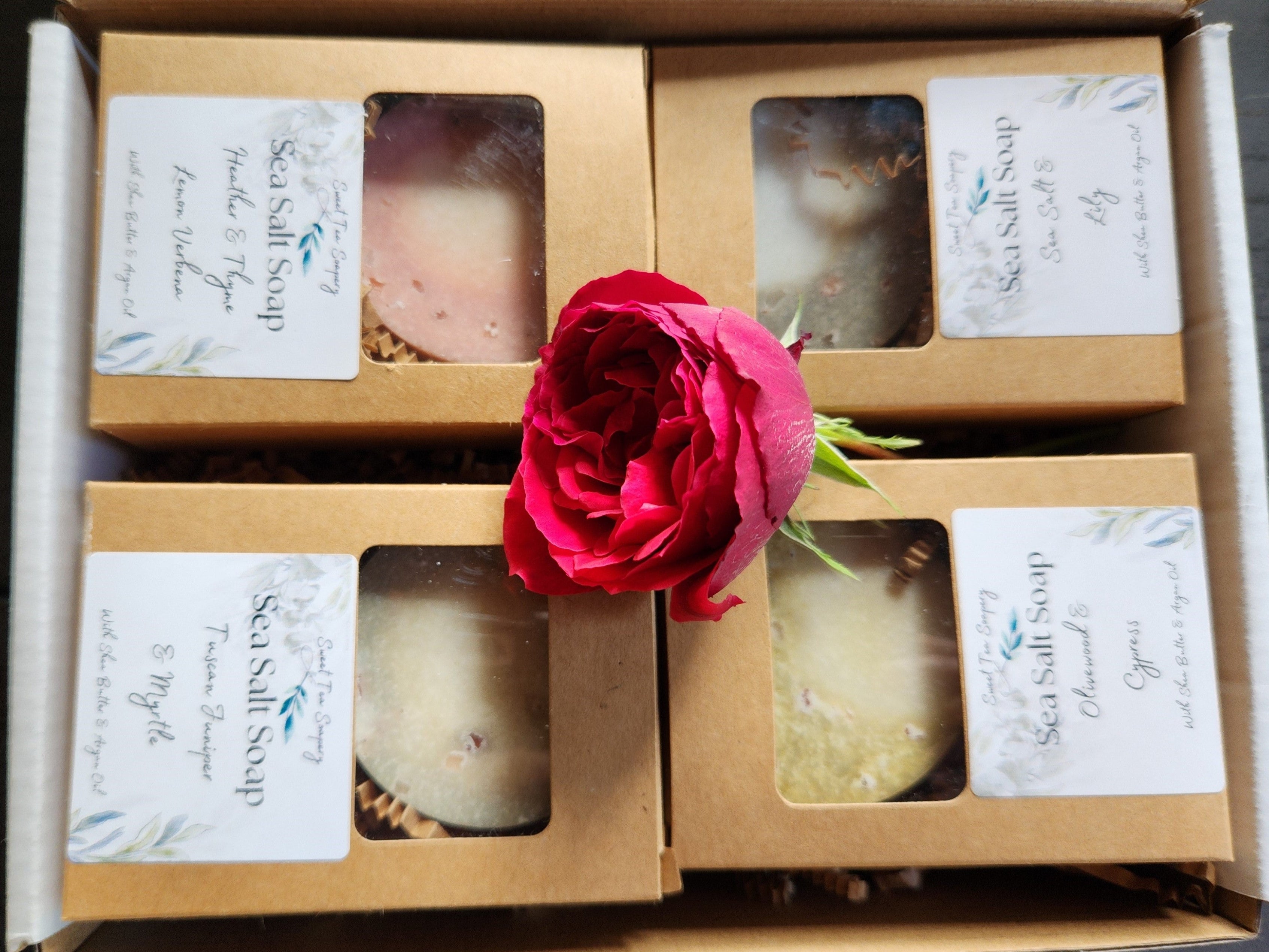 Discovery Soap Boxes