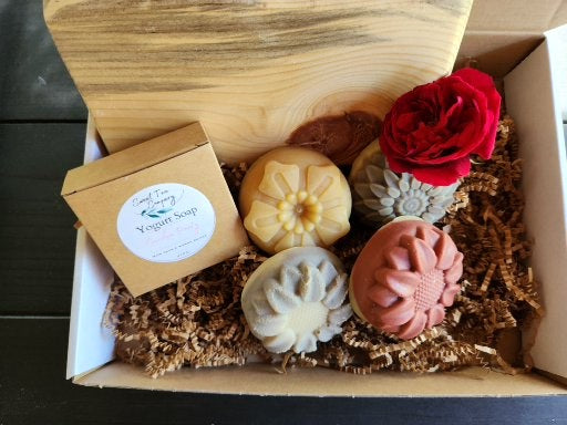 Yogurt Soap and Soap Tray Gift Collection